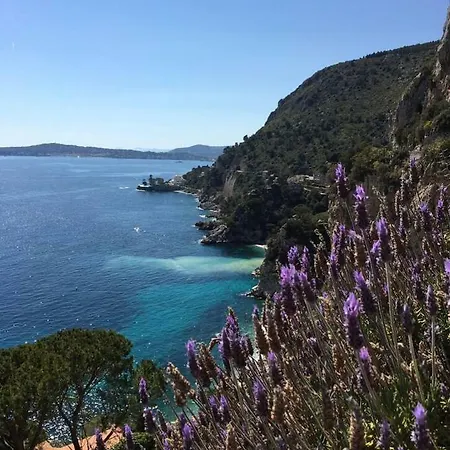 Stunning Next To Monaco Eze